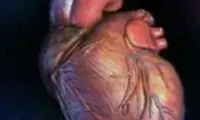 ساعات خطرناک روز برای قلب!