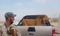 شکار نادر ارتش عراق در نبرد با داعش +عکس