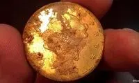 کشف خارق‌العاده زوج خوش شانس +عکس