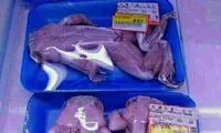 فروش گوشت قورباغه در تهران؟!