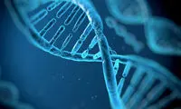 قطع ویروس HIV از بدن موش‌ ها