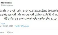 شوخی‌های جالب شبکه‌های اجتماعی؛ آزمون رانندگی موتور