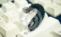 اجبار کاربران به نصب ویروس روی رایانه!