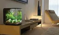 راهنمای خرید آکواریوم، انواع و ابعاد آن