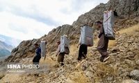 بنیاد برکت: ۱۰هزار شغل برای کولبران ایجاد کردیم