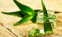 فواید شگفت انگیز آلوئه ورا برای کودک