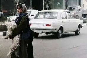 سرنوشت این 3 دختر تهرانی از سال 1378 سوال‌برانگیز شد
