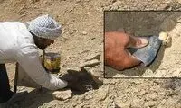 طلای ناب نهفته در آلپ ایران را ببینید