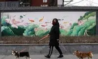  واکنش پکن به شیوع یک بیماری‌ مرموز در چین 