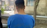 گریه‌های وحشت‌زده قربانی سرقت اتوبان امام علی