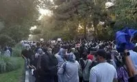 تشبیه معترضان به «پشه» در روزنامه کیهان