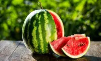 رکورد عجیبی که یک ایرانی در گینس ثبت کرد 