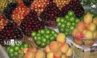 نوبرانه‌هایی که کمتر کسی توان خرید آن‌ها را دارد