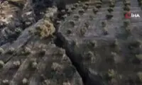 تصاویری وحشتناک از گسل به جا مانده در ترکیه