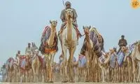 ویدیویی دیدنی از مسابقات شتردوانی در عربستان