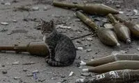  آنچه روس‌ها پشت سر جا گذاشتند!