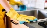 پیشنهاد ویژه این خانم برای خانه‌داری مجازی را پر کرد