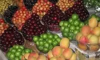 میوه امسال کمی ارزان می‌شود