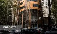 این چند درخت خیابان ولیعصر 167میلیارد  قیمت داشت