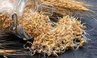 با خوردن این گیاه روند پیری را به تعویق بیاندازید