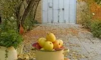 عکسی که طی ۴۸ ساعت اخیر روان ایرانی‌ها را قلقلک داده است