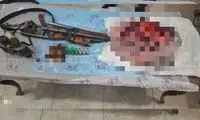 شایعه عجیب و باورنکردنی درباره کشتن یک خرس در مازندران