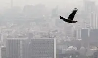قدرت خرید وام مسکن آب رفت!