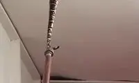 لحظه سقوط مار غول‌پیکر از پشت بام به یک خانه