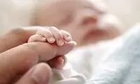 تولد نوزاد عجول در یکی از خیابان‌های ارومیه