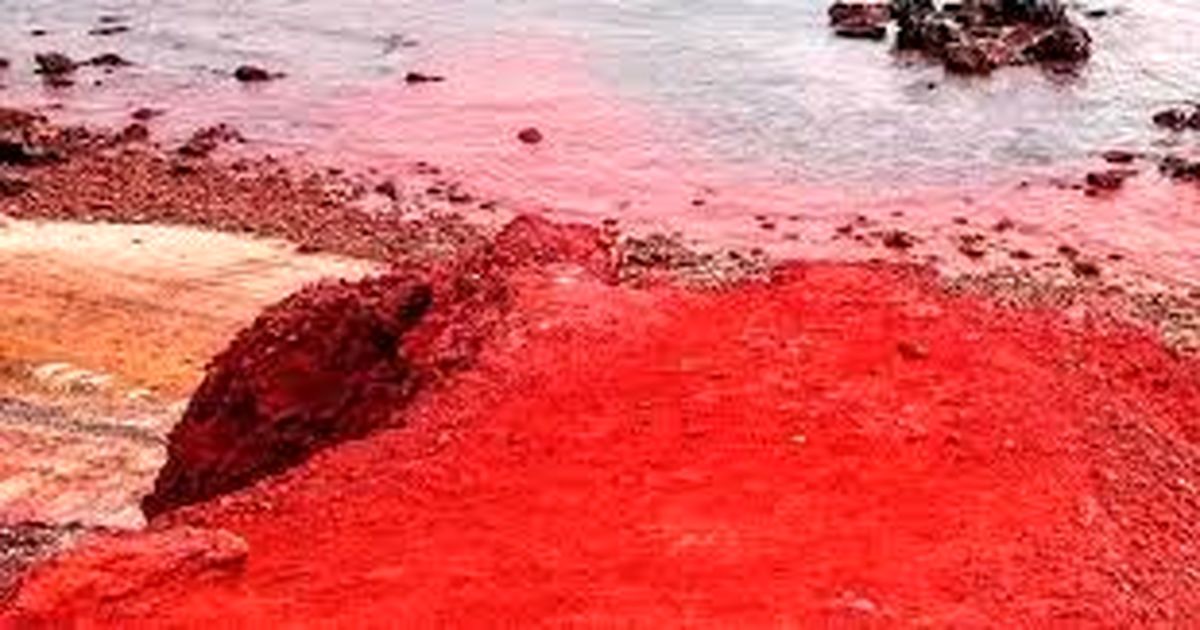 زیبایی این نقطه از ایران چشم جهان را خیره کرده است