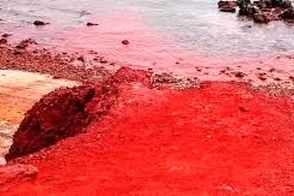 زیبایی این نقطه از ایران چشم جهان را خیره کرده است