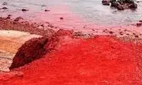 زیبایی این نقطه از ایران چشم جهان را خیره کرده است