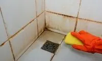 از بین بردن کپک های حمام با این راه‌های ساده