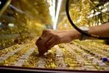 طلا از مرز ۲۰ میلیون عبور کرد