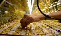 طلا از مرز ۲۰ میلیون عبور کرد