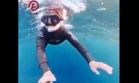 نجات معجزه‌آسای غواص زن از دهان نهنگ عظیم‌الجثه