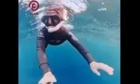 نجات معجزه‌آسای غواص زن از دهان نهنگ عظیم‌الجثه
