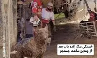 قابی تاثیرگذار از وضعیت یک سگ زنده‌یاب