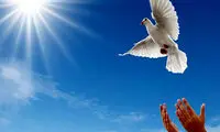 بخشش قاتل مادرزن به احترام روز مادر
