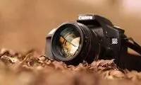 تصویر یکی از هولناک‌ترین فجایع انسانی