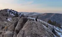 حمله عقاب به دوربین صداوسیما در خراسان شمالی