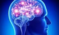مغز شما از کسی که دوستش دارید بیشتر می‌آموزد