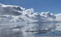 ویدئو دیدنی از پایکوبی مردم در کنار دریاچه ارومیه