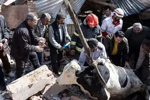 تصاویری از خسارات واحدهای دامداری و تجاری در تبریز