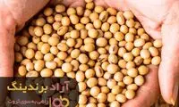با ایجاد باورهای ثروت ساز، به پول سلام کنید