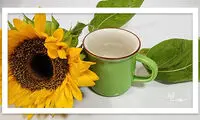 نوشیدنی هایی که کاهش وزن را ۴ برابر می‌کند