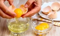 علائم تخم‌ مرغ فاسد را بشناسید