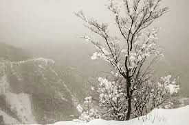 حجم برف در این نقطه از ایران جلب‌توجه کرد