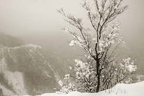 حجم برف در این نقطه از ایران جلب‌توجه کرد