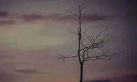 بدون عنوان